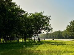 -汉长安城未央宫国家考古遗址公园