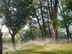 -四海公园(南山区)