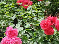 -汉长安城未央宫国家考古遗址公园