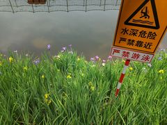 -重庆彩云湖湿地公园