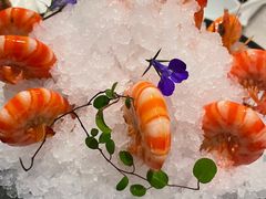 陈年花雕醉斑节虾-海味观(老西门店)