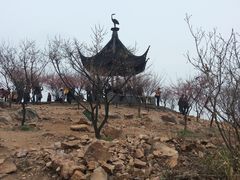 -香雪海