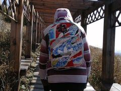 -白草畔自然风景区