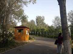 -东郊湿地公园
