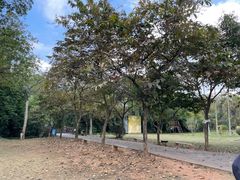 -南宁良凤江国家森林公园