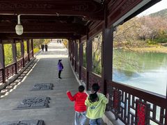 -长广溪湿地公园