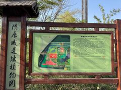 -洛阳市隋唐城遗址植物园