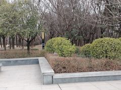 -清凉山国家森林公园