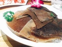 脆毛肚-草原塞蛮羊火锅城(港湾店)