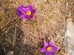 -北京鹫峰国家森林公园