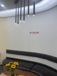 -IP SALON