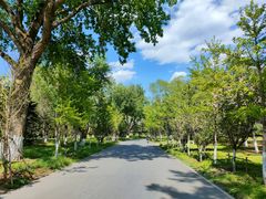 -长白岛森林公园