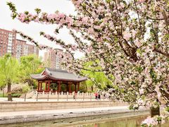 -海棠花溪(元大都城垣遗址公园)