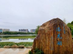 -洛龙公园