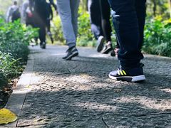 -浙江大学(玉泉校区)