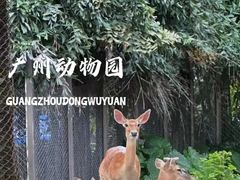 -府上酒店(广州火车站越秀公园地铁站店)