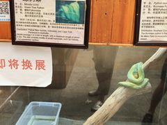 -上海大自然野生昆虫馆(东方明珠·爬宠昆虫探索中心)