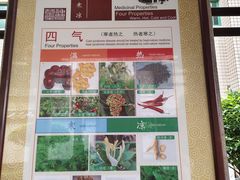 -广州神农草堂中医药博物馆