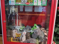-回声星球·团建策划·赛事承办·拓展培训(大钟寺店)
