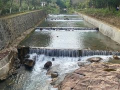 -广州白江湖森林公园