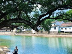 -鹿亭中村
