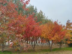 -东郊湿地公园
