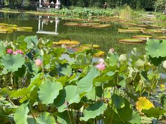 -国家植物园南园