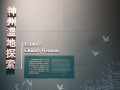 -中国湿地博物馆