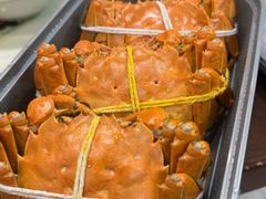-黄记大闸蟹专卖店·活蟹·醉蟹