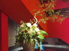 -解家河南菜(商鼎路店)