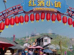-美心红酒小镇游乐园