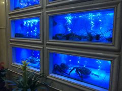 水产区-御口福·廿八年经典粤菜·驰名烧鹅 (远景路店)