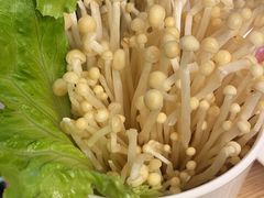 -蜀九香火锅(彩虹店)