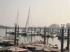 -渡海小渔村.老辈日照菜