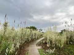 -良渚古城遗址公园