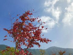 -塔川景区