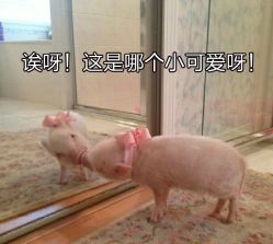 -银座Calla日式美容沙龙