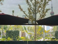 -Wolfgang’s Steakhouse 沃夫冈牛排馆(上海白玉兰广场店)