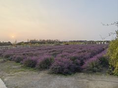-嘉北郊野公园