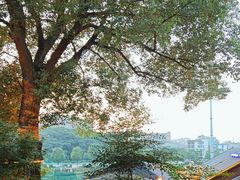 -耕渔小院·湖南鱼鲜(望城店)