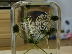 -BEAST野兽派(上海浦东嘉里城店)