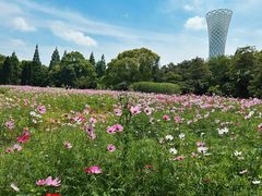 -上海滨江森林公园