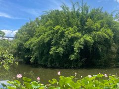 -福州大学(旗山校区)