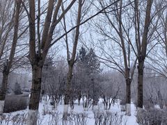 -岱山公园