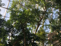 -北京植物园-展览温室