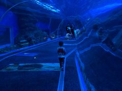 -成都浩海立方海洋公园