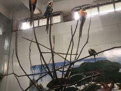 -西安秦岭野生动物园