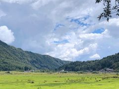 -腾冲北海湿地