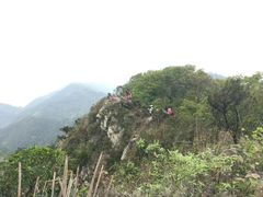 -羚羊峡古栈道森林公园