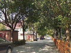 -九龙村社区老年活动中心